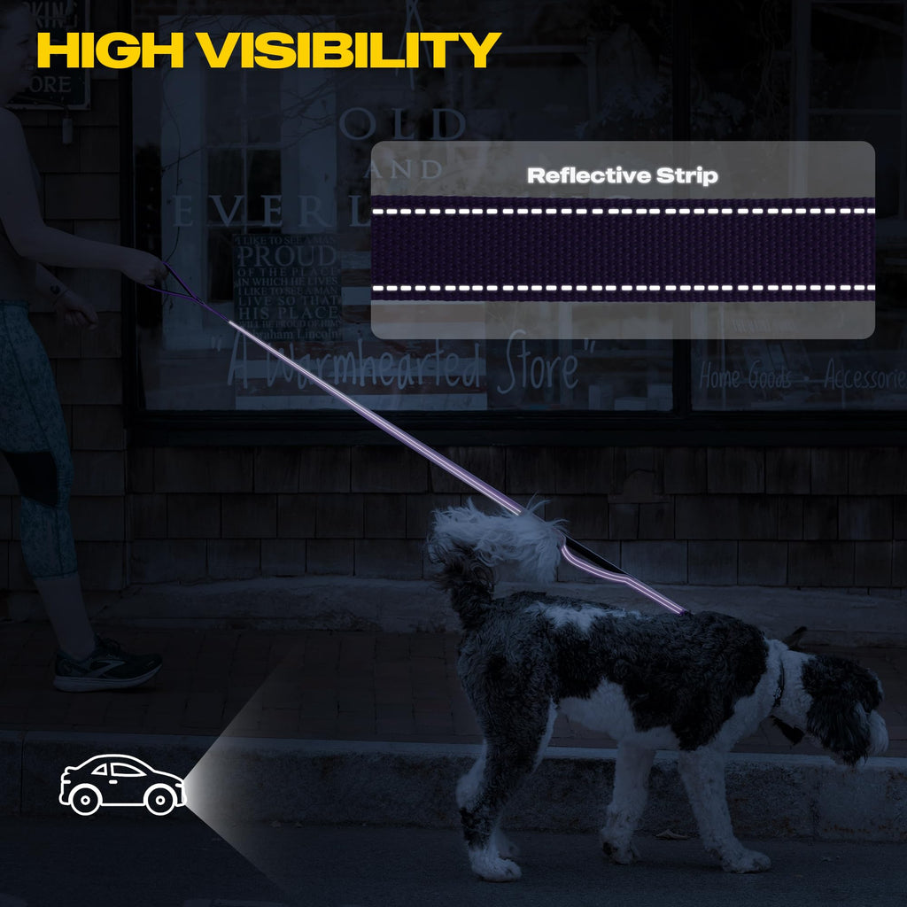 Fida 5-Foot Heavy Duty Dog Leash with Padded Handles, Traffic Handle & Reflective Threads - Purple