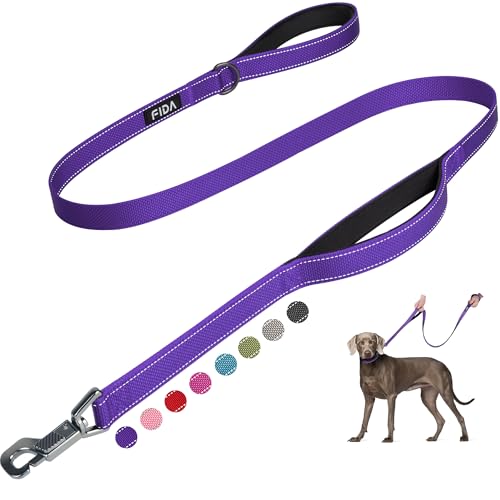 Fida 5-Foot Heavy Duty Dog Leash with Padded Handles, Traffic Handle & Reflective Threads - Purple
