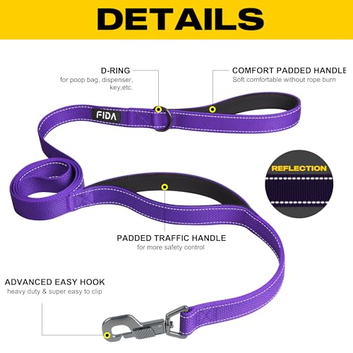 Fida 5-Foot Heavy Duty Dog Leash with Padded Handles, Traffic Handle & Reflective Threads - Purple