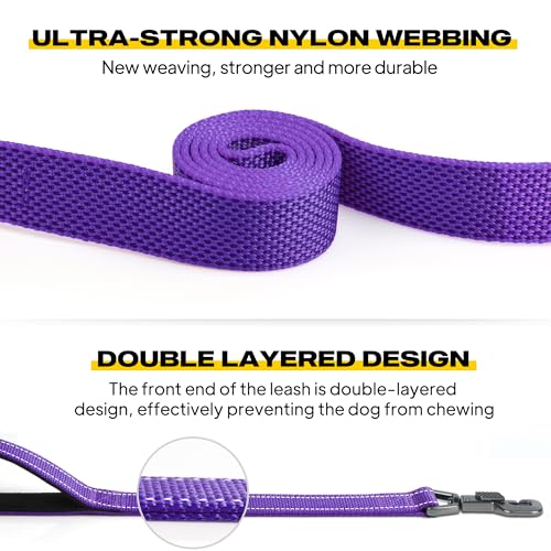 Fida 5-Foot Heavy Duty Dog Leash with Padded Handles, Traffic Handle & Reflective Threads - Purple