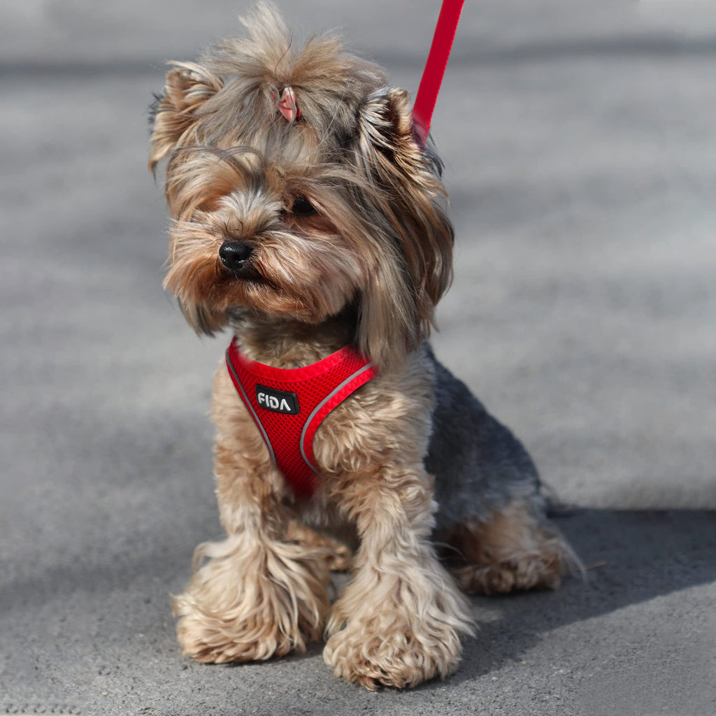 Fida Comfy Dog Harness & Leash Set - XS Red Step-In Air Mesh Vest for Small Dogs & Cats