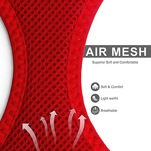 Fida Comfy Dog Harness & Leash Set - XS Red Step-In Air Mesh Vest for Small Dogs & Cats