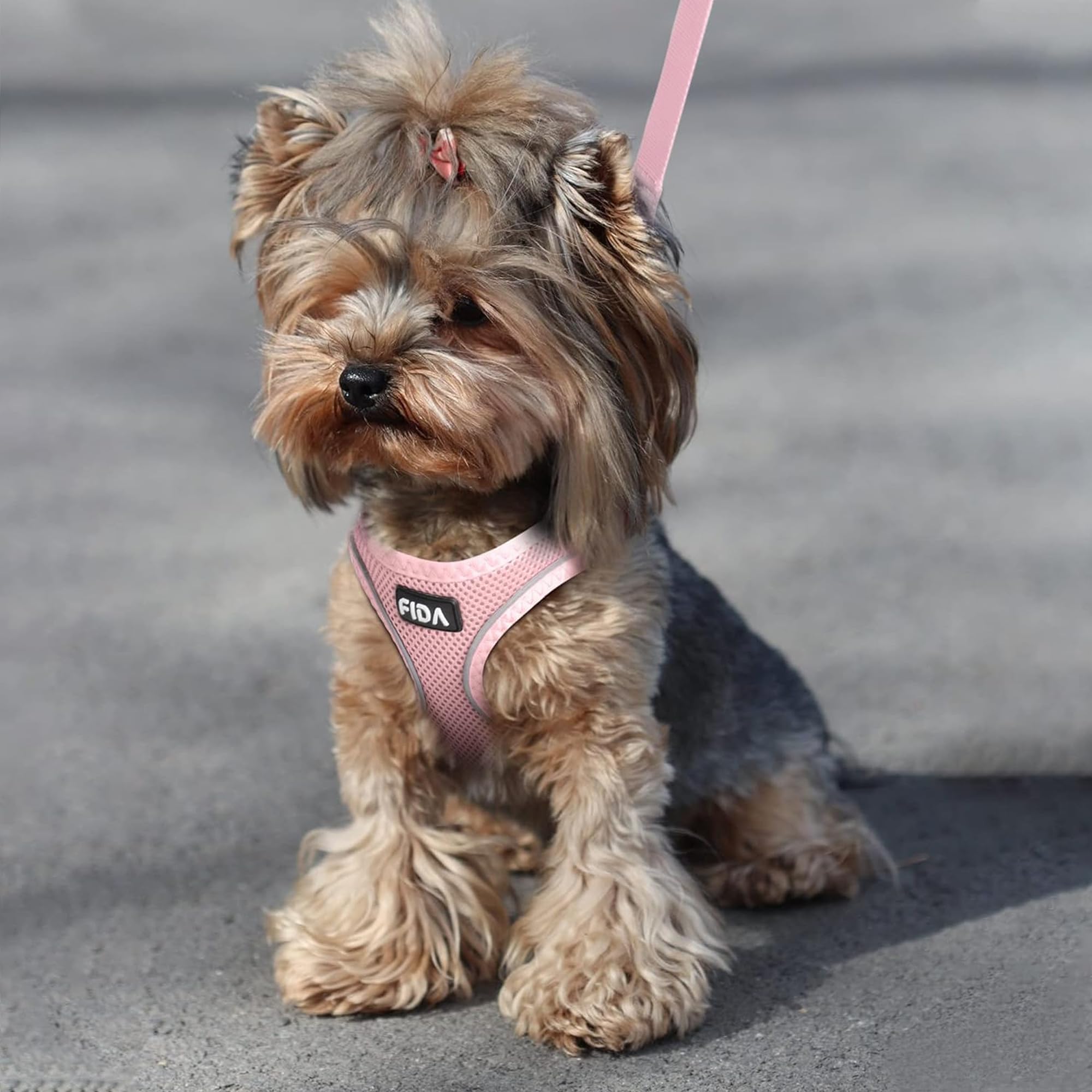 Fida Escape-Proof Cat Harness and Leash Set – Soft Mesh Step-In Vest for Small Kittens and Puppies (XXXS, Pink)