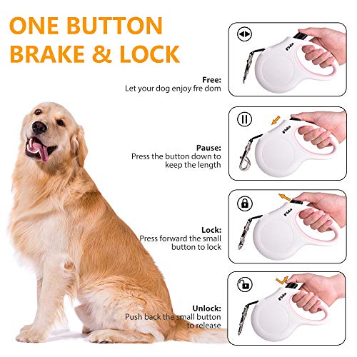 Fida Retractable Dog Leash 10 ft for X-Small Dogs and Cats up to 18 lbs – White Nylon Tape with Reflective Stitching, Poop Bag Dispenser Included