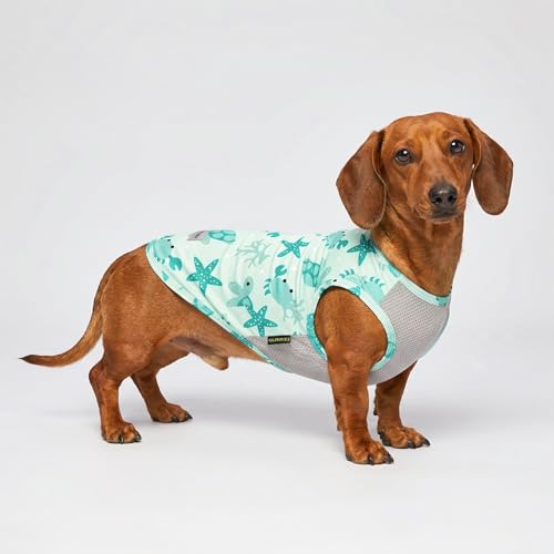 Fitwarm 2-Pack UPF 50+ Dog Shirt, Cooling Vest for Small Dogs, Large, Sky Blue/Mint Green
