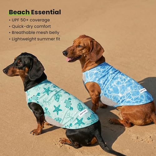 Fitwarm 2-Pack UPF 50+ Dog Shirt, Cooling Vest for Small Dogs, Large, Sky Blue/Mint Green