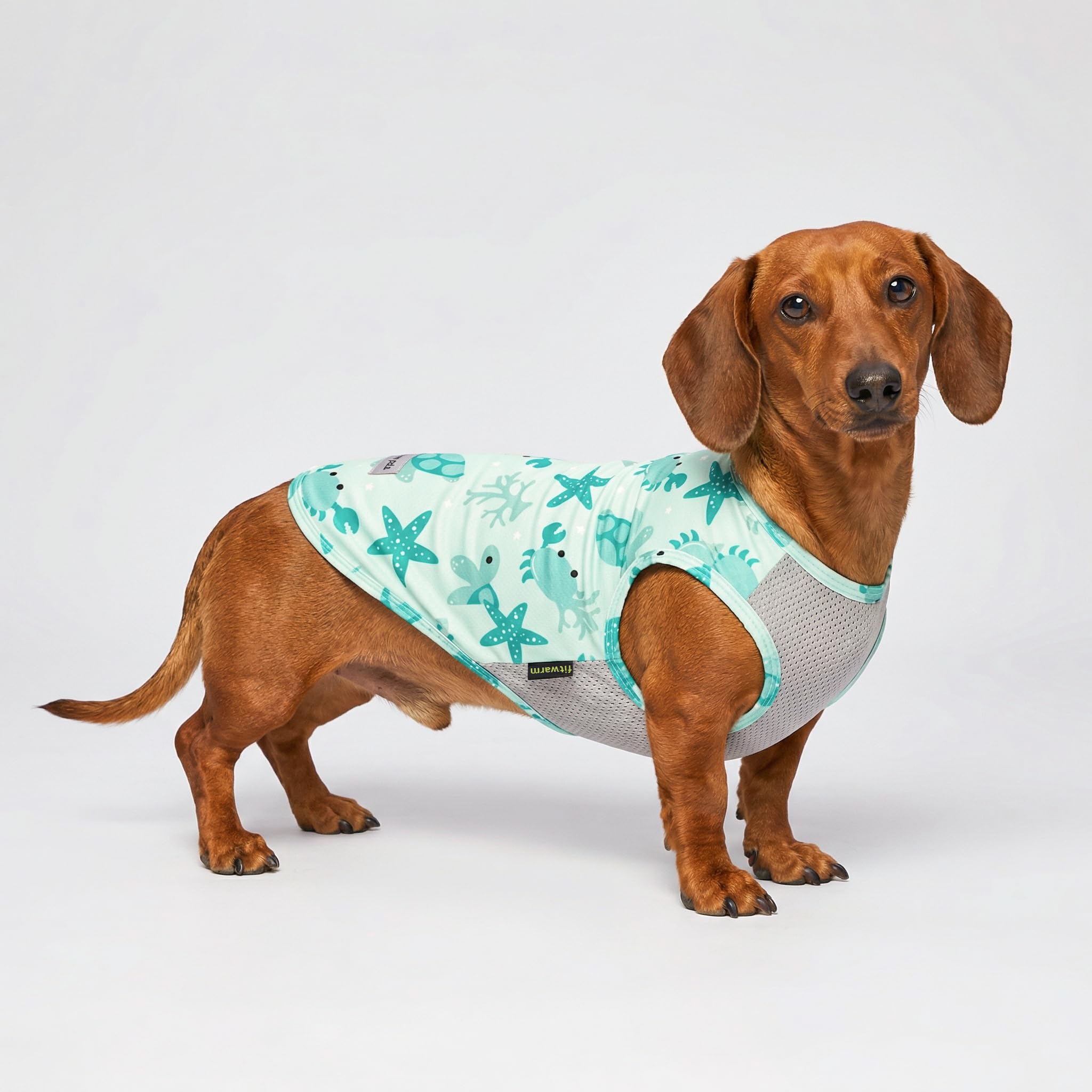 Fitwarm 2-Pack UPF 50+ Dog Shirt, Cooling Vest for Small Dogs, Large, Sky Blue/Mint Green