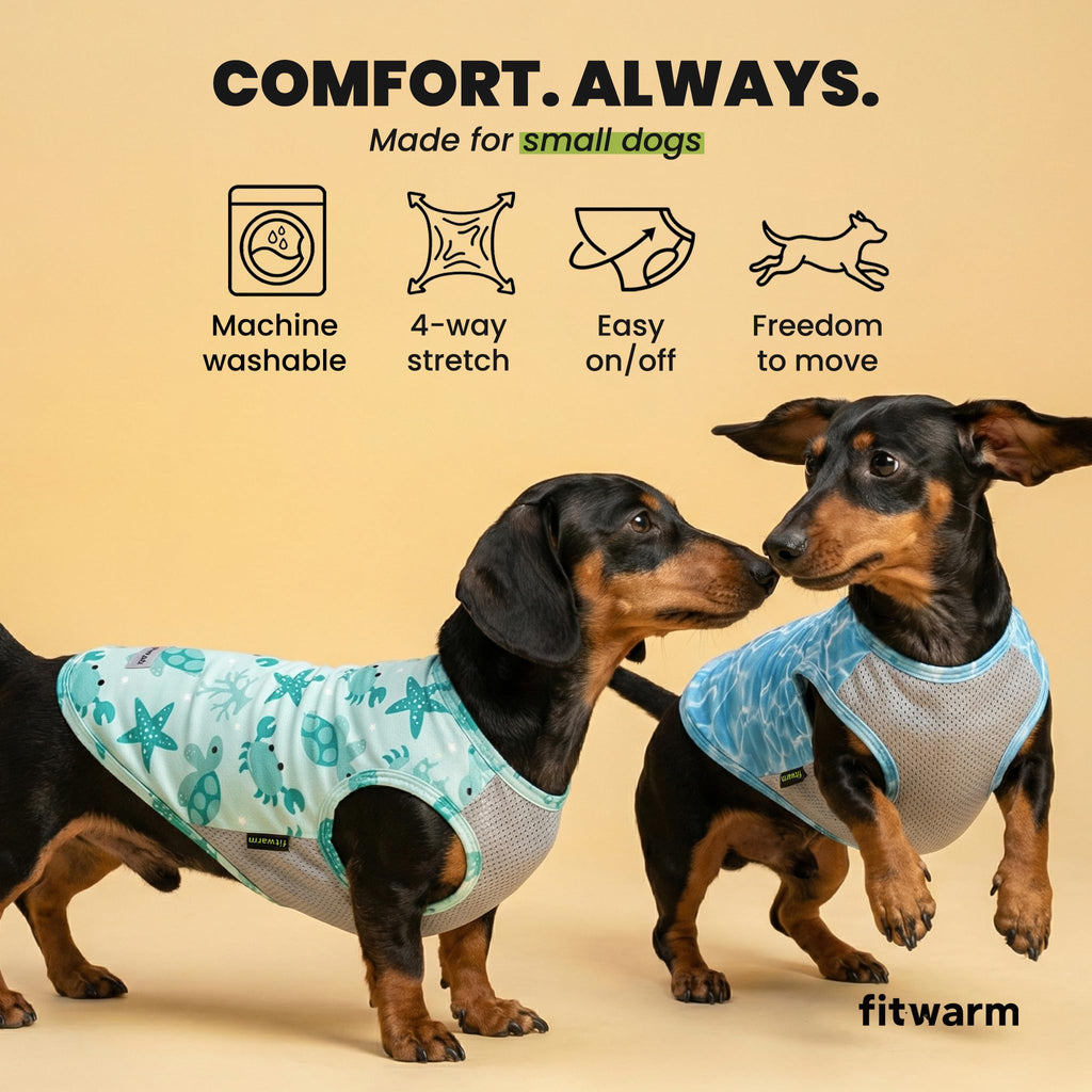 Fitwarm 2-Pack UPF 50+ Dog Shirt, Cooling Vest for Small Dogs, Large, Sky Blue/Mint Green