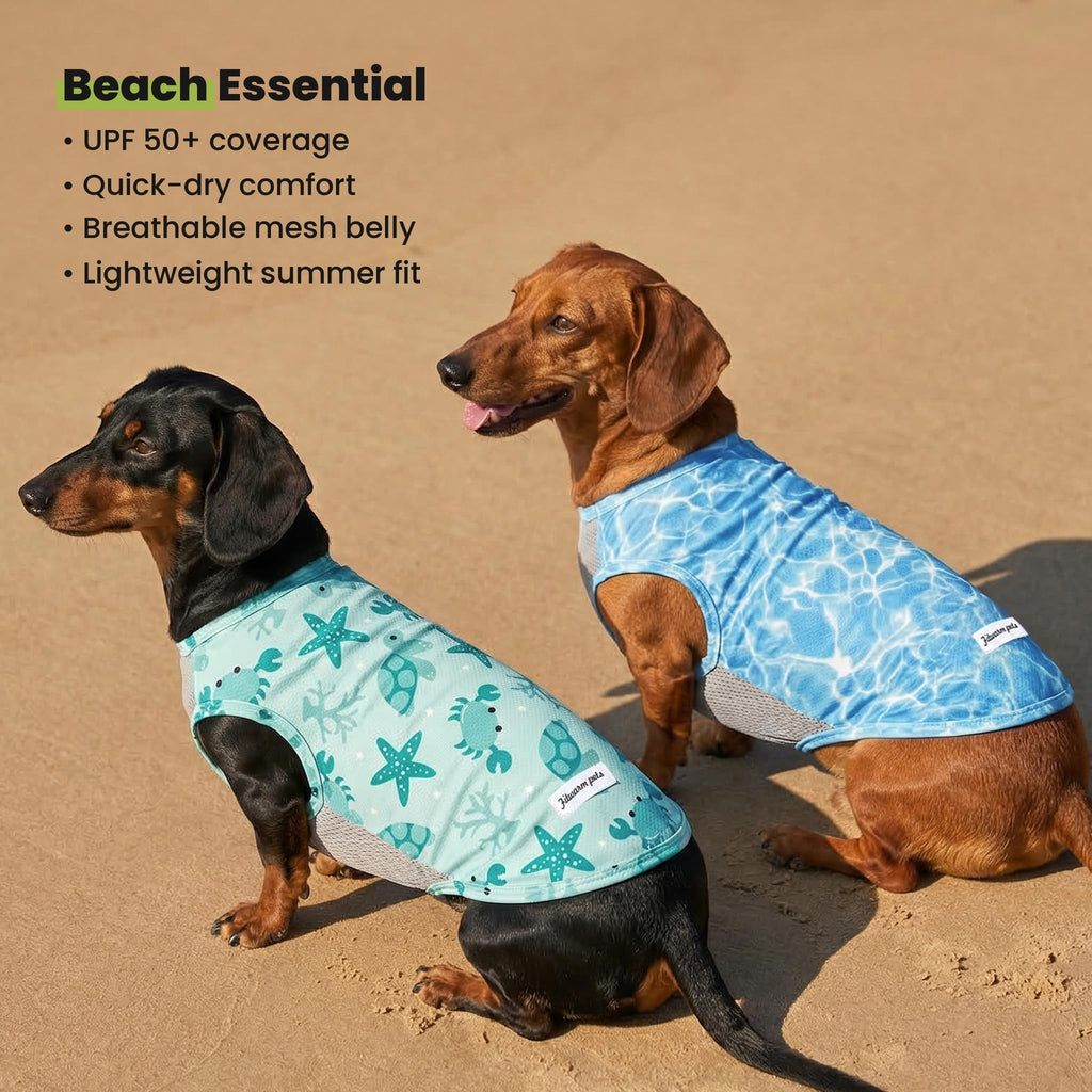 Fitwarm 2-Pack UPF 50+ Dog Shirt, Cooling Vest for Small Dogs, Large, Sky Blue/Mint Green