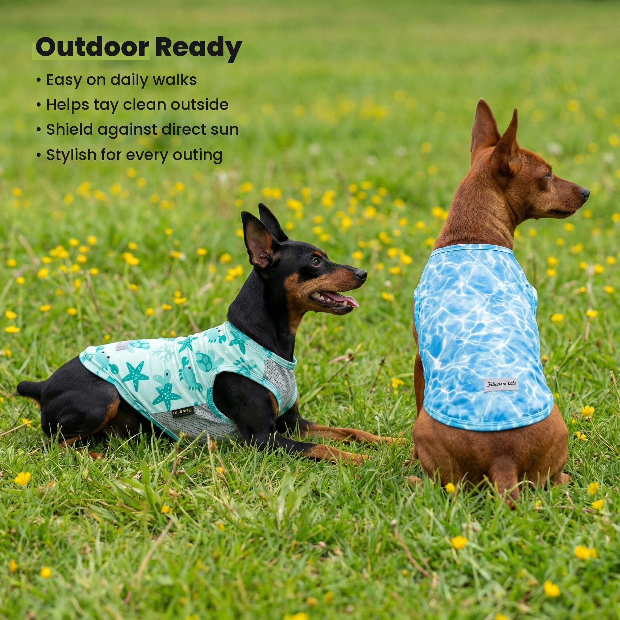 Fitwarm 2-Pack UPF 50+ Dog Shirt, Cooling Vest for Small Dogs, Large, Sky Blue/Mint Green