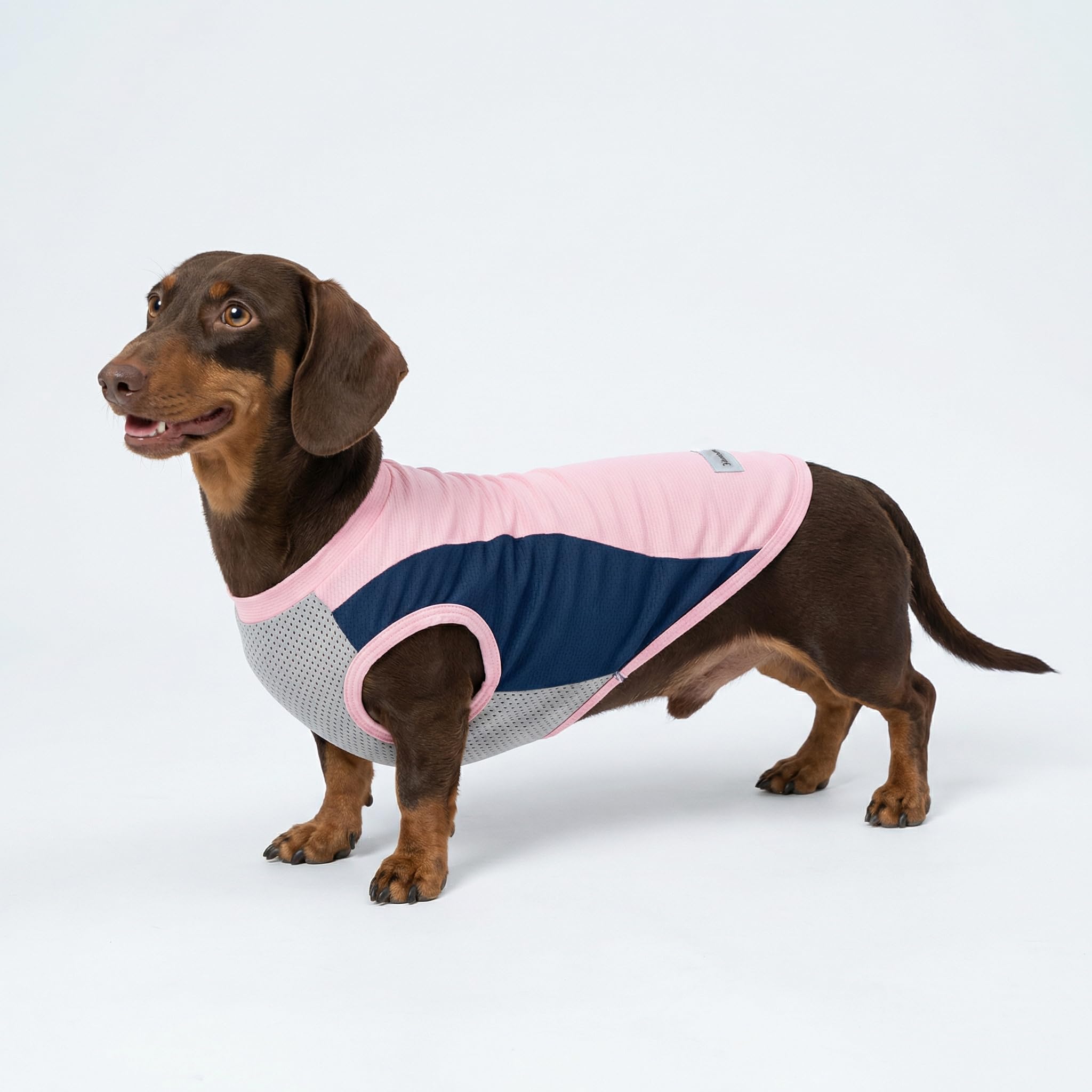 Fitwarm 2-Pack UPF 50+ Sun Protection Dog Shirt for Small Dogs – Lightweight Cooling Vest with Reflective Label, Large, Pink