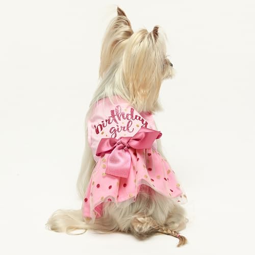 Fitwarm Pink Tulle Birthday Girl Dog Dress for Small Dogs and Cats, Medium