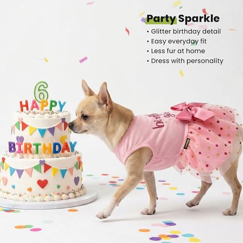 Fitwarm Pink Tulle Birthday Girl Dog Dress for Small Dogs and Cats, Medium