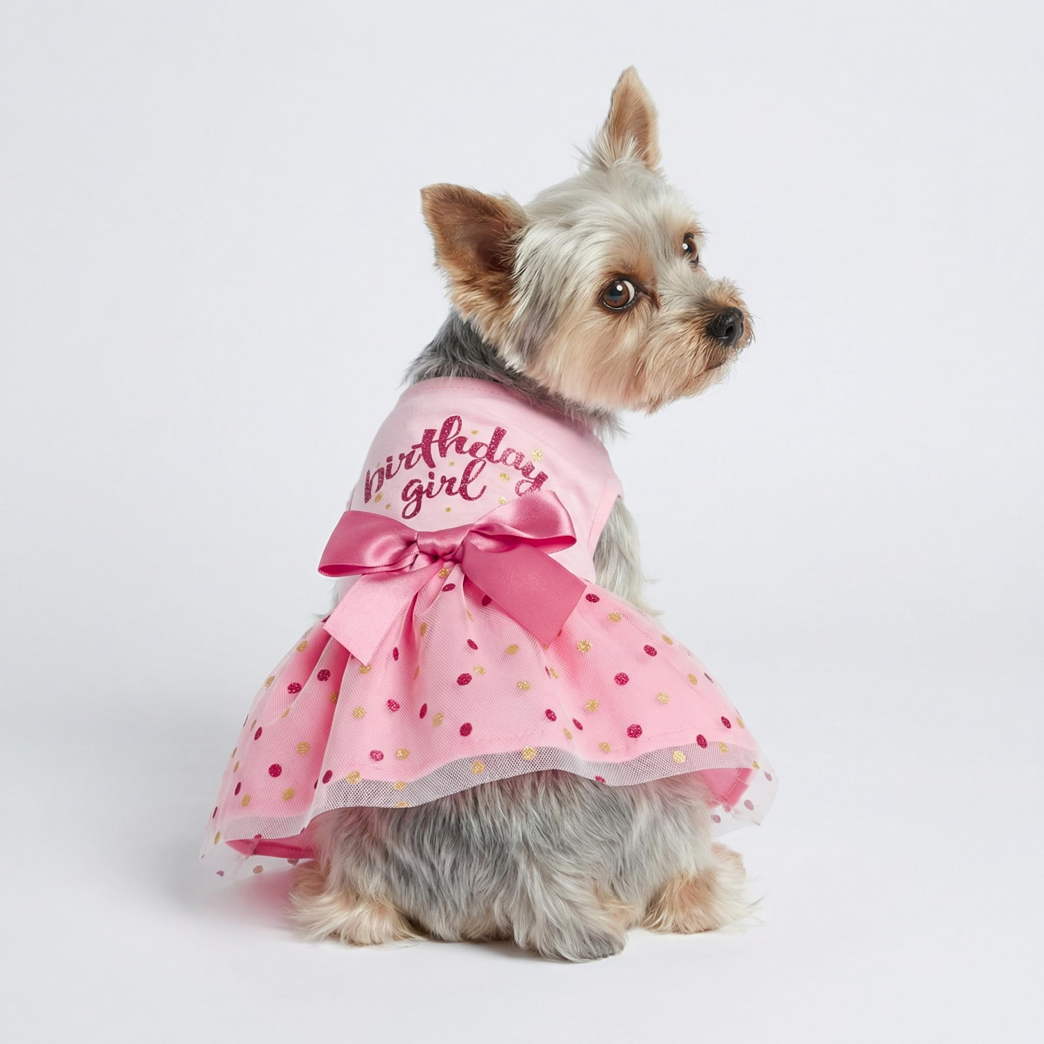 Fitwarm Pink Tulle Birthday Girl Dog Dress for Small Dogs and Cats, Medium