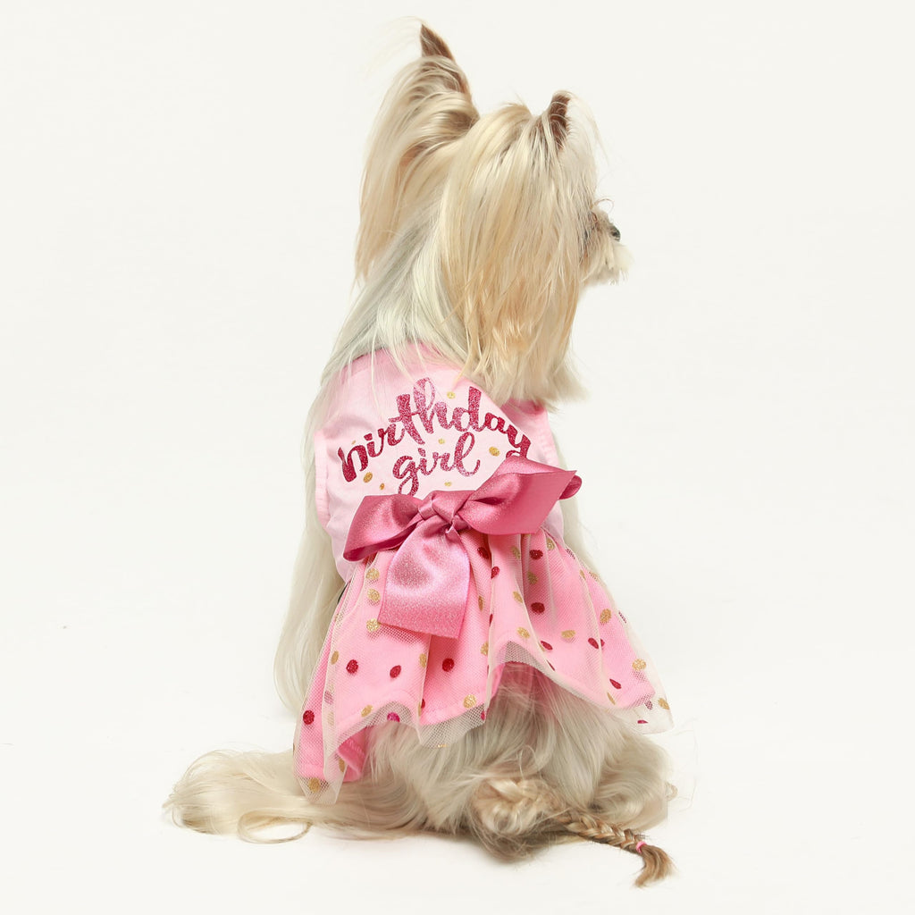 Fitwarm Pink Tulle Birthday Girl Dog Dress for Small Dogs and Cats, Medium