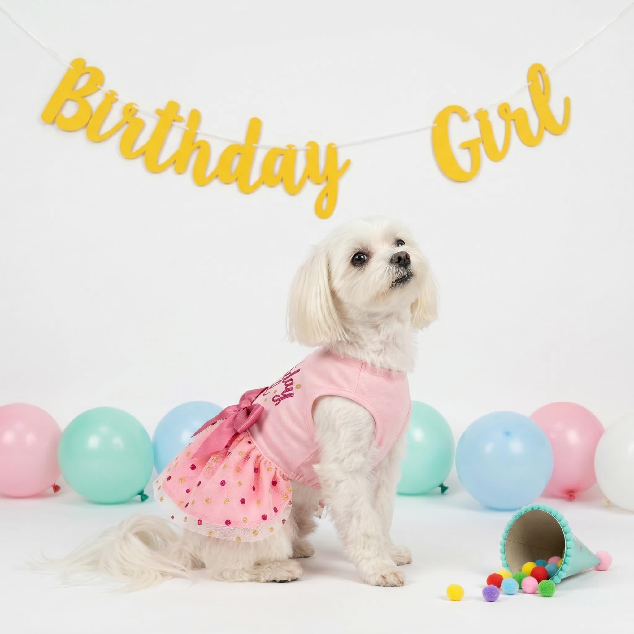 Fitwarm Pink Tulle Birthday Girl Dog Dress for Small Dogs and Cats, Medium