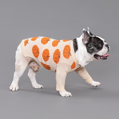 Fitwarm Pumpkin Dog Sweater for Small Dogs – Cozy Thanksgiving Outfit, Orange & Beige, Size Small