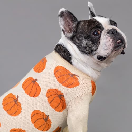 Fitwarm Pumpkin Dog Sweater for Small Dogs – Cozy Thanksgiving Outfit, Orange & Beige, Size Small