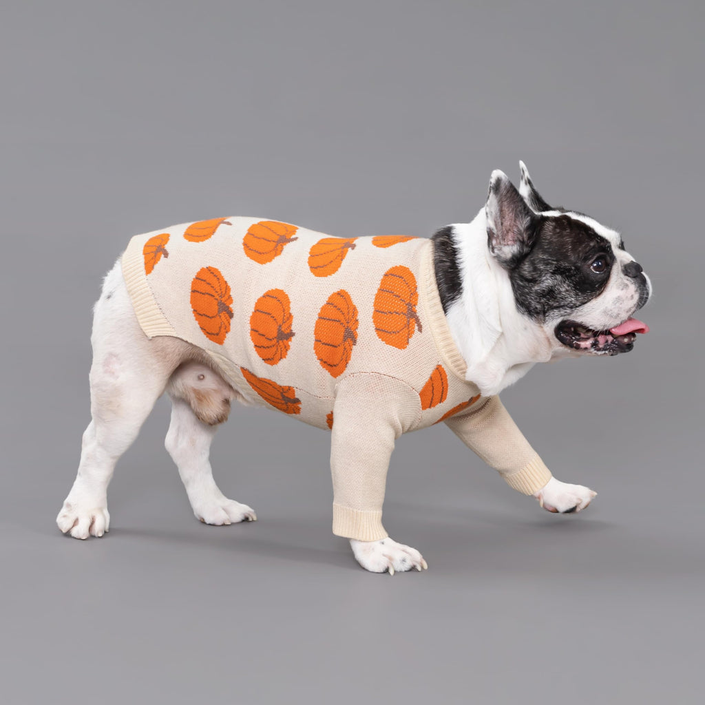 Fitwarm Pumpkin Dog Sweater for Small Dogs – Cozy Thanksgiving Outfit, Orange & Beige, Size Small