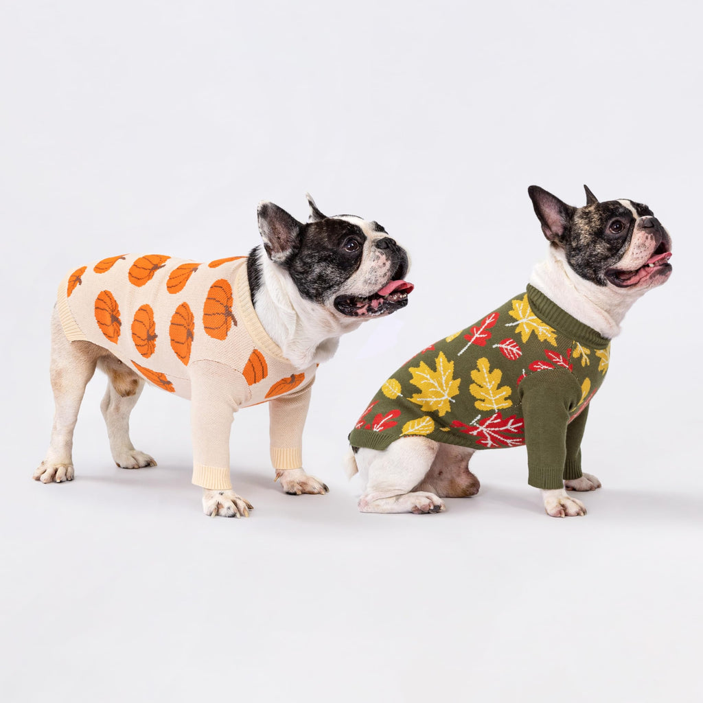 Fitwarm Pumpkin Dog Sweater for Small Dogs – Cozy Thanksgiving Outfit, Orange & Beige, Size Small