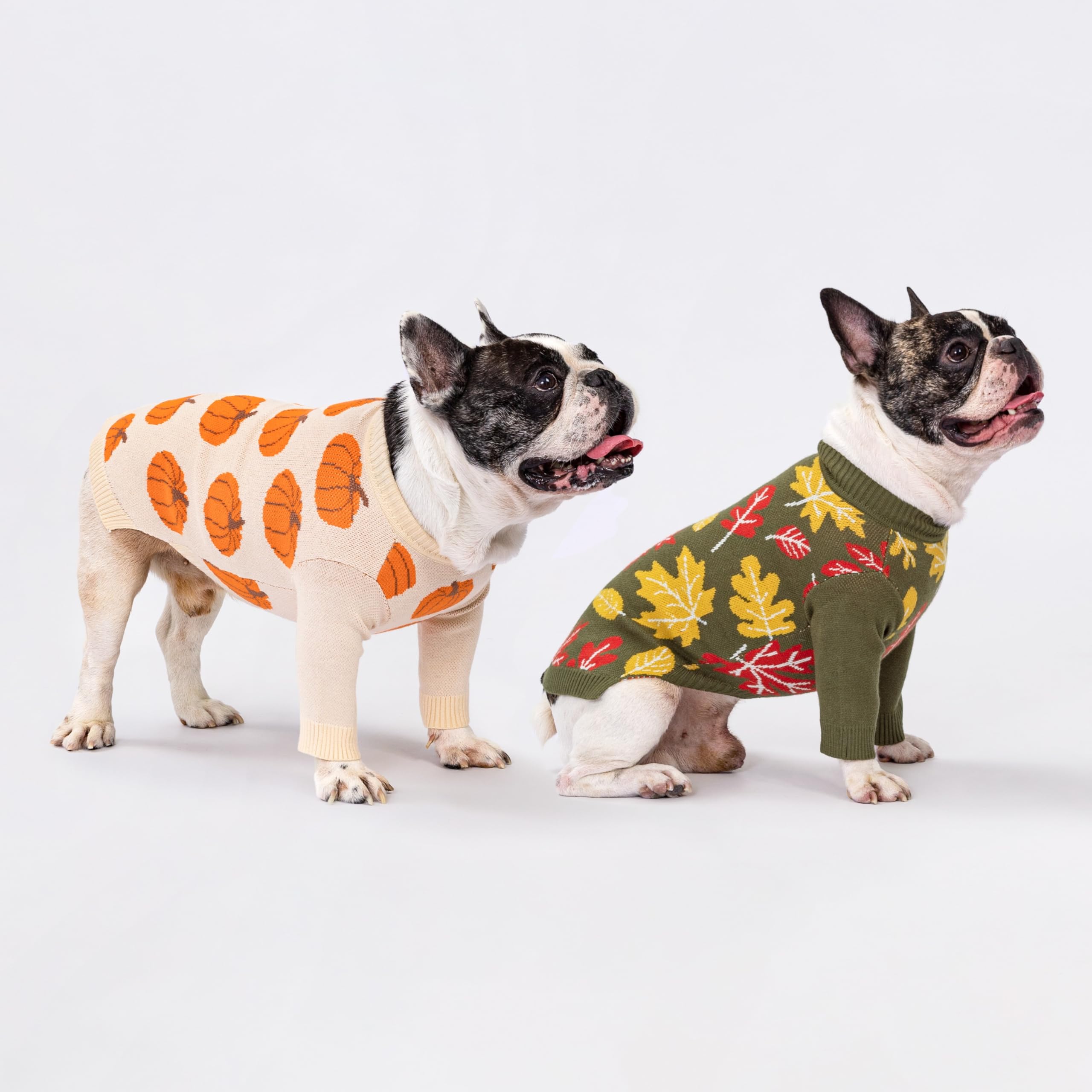 Fitwarm Pumpkin Dog Sweater for Small Dogs – Cozy Thanksgiving Outfit, Orange & Beige, Size Small