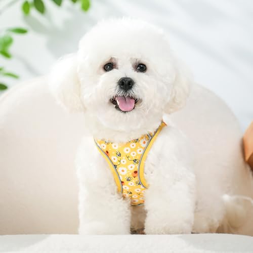 Flymind Bee Pattern Step-In Dog Harness and Leash Set – Soft Mesh Vest Harness for Small Dogs, No-Pull Reflective Design, Size S