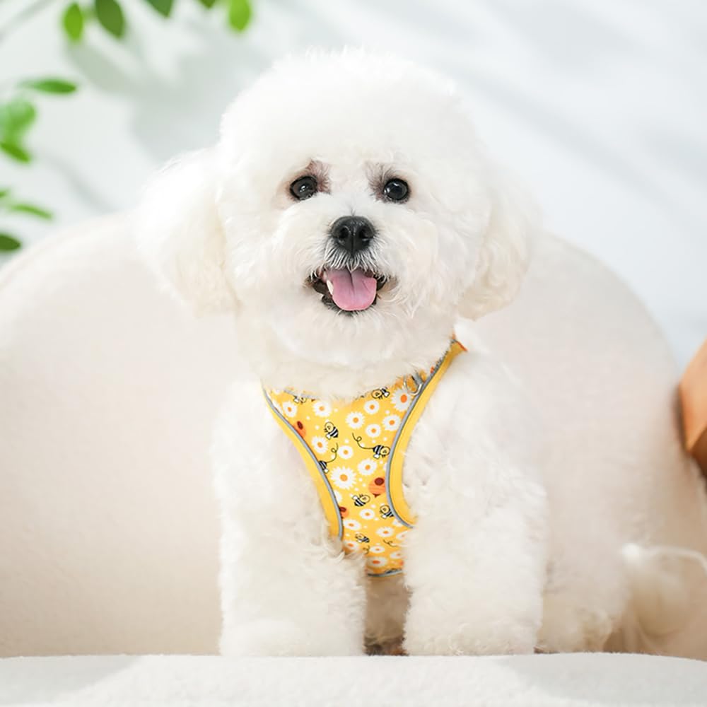 Flymind Bee Pattern Step-In Dog Harness and Leash Set – Soft Mesh Vest Harness for Small Dogs, No-Pull Reflective Design, Size S