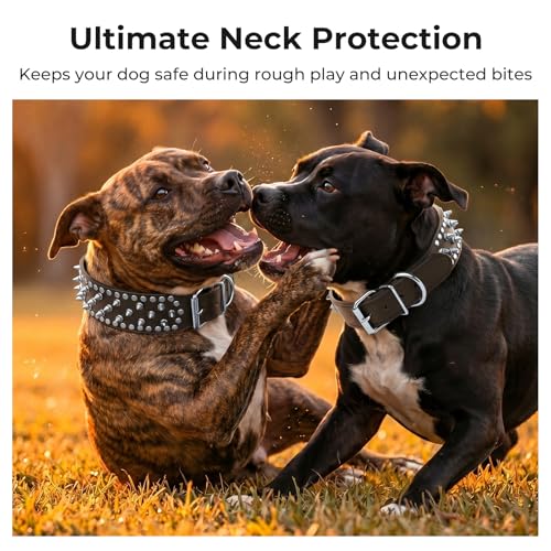 Frienhund Anti-Bite Spiked Studded Dog Collar, Large (20.67-23.82"), Black PU Leather, Fixed D-Ring
