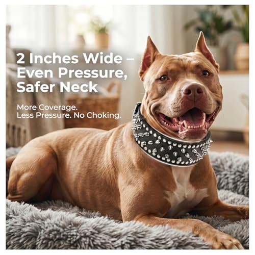 Frienhund Anti-Bite Spiked Studded Dog Collar, Large (20.67-23.82"), Black PU Leather, Fixed D-Ring