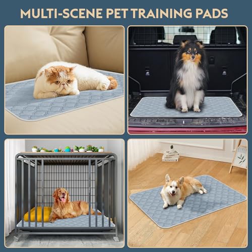 FunFurry Washable Pee Pads for Dogs - Reusable, Waterproof, Non-Slip, Light Grey 24x24 (2-Pack)