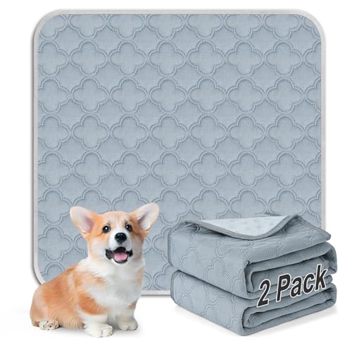 FunFurry Washable Pee Pads for Dogs - Reusable, Waterproof, Non-Slip, Light Grey 24x24 (2-Pack)