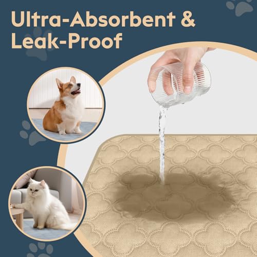 FunFurry Washable Pee Pads for Dogs – 2 Pack Reusable 24x36 Cream Training Pads with Non-Slip Backing