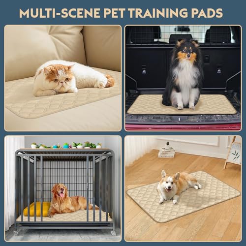 FunFurry Washable Pee Pads for Dogs – 2 Pack Reusable 24x36 Cream Training Pads with Non-Slip Backing