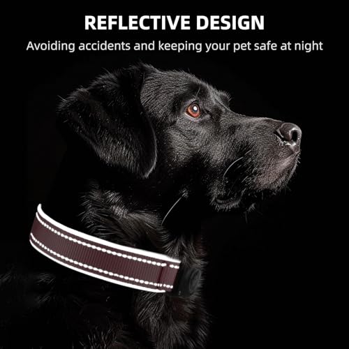 Furrigo AirTag Dog Collar - Light Pink, Size L - IP68 Waterproof, Reflective, Padded Heavy Duty
