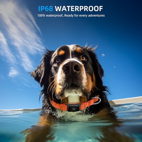 Furrigo IP68 Waterproof AirTag Dog Collar - Orange, XL (15.6-22 in) - Reflective & Padded