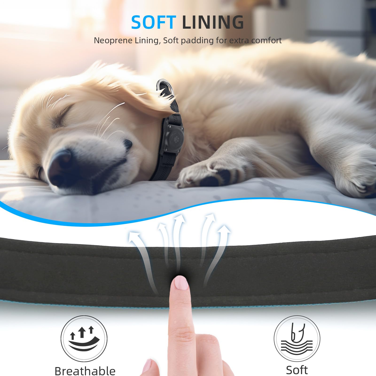 Furrigo Upgraded AirTag Dog Collar Holder - IP68 Waterproof, Reflective, Padded, Heavy Duty Nylon Collar for Small Dogs (Blue, Size S)