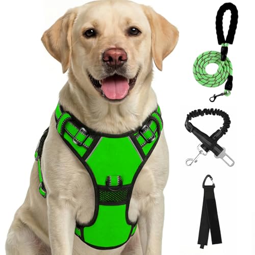 FURRYFECTION Plaid Dog Harness for Small Dogs - Reflective No Pull Vest with Front Clip and Leash (Green, S)