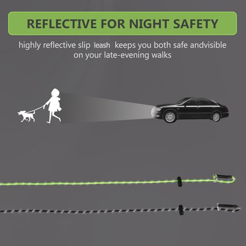 FURSDOLY Reflective Slip Lead Leash Set – 4.3mm Paracord, 1000lb Pull Force, 4 FT (Black & Neon Green)
