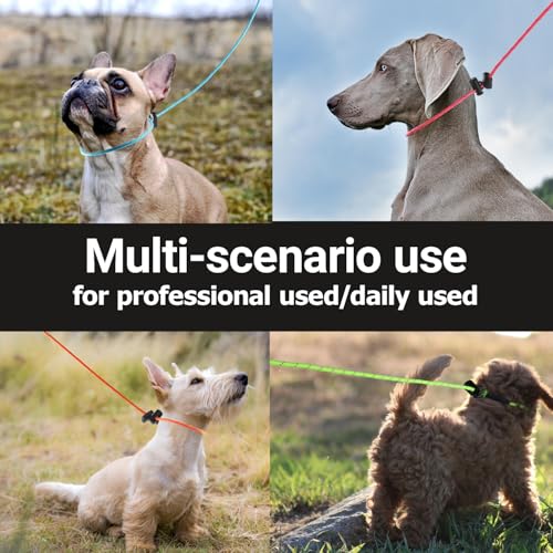 FURSDOLY Reflective Slip Lead Leash Set – 4.3mm Paracord, 1000lb Pull Force, 4 FT (Black & Neon Green)