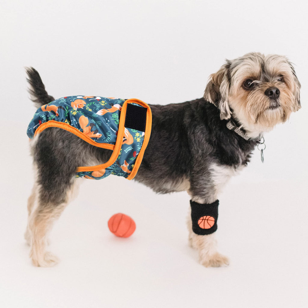 Fuz Bigaza Washable Dog Diapers 3 Pack - Reusable Female Dog Diapers for Heat, Medium (Giraffe, Tucan, Fox)