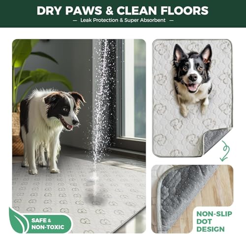 FXW Washable Dog Pee Pad, 39-Inch Square, Khaki, Leak-Proof & Non-Slip, 1 Pack