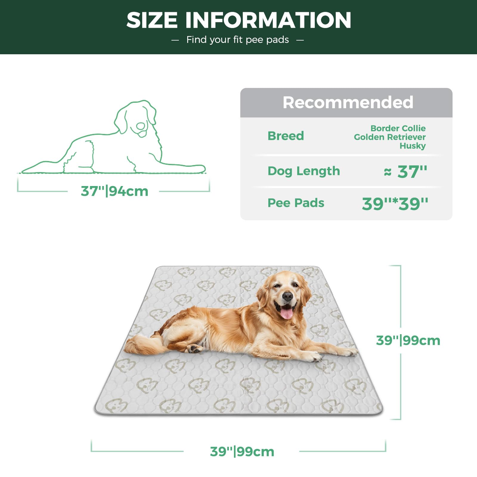 FXW Washable Dog Pee Pad, 39-Inch Square, Khaki, Leak-Proof & Non-Slip, 1 Pack