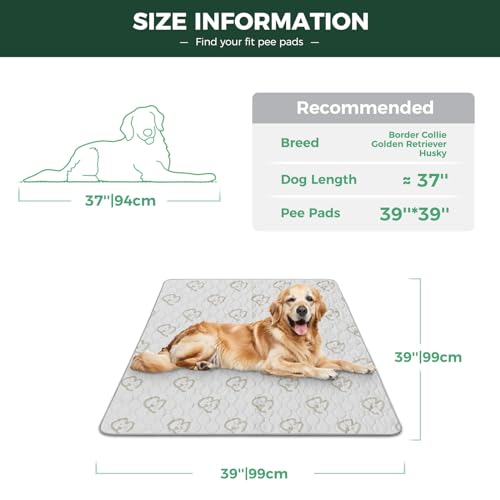 FXW Washable Dog Pee Pad, 39-Inch Square, Khaki, Leak-Proof & Non-Slip, 1 Pack
