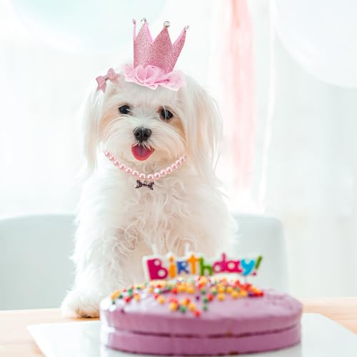 GAGILAND Pink Dog Tutu Birthday Outfit for Small Medium Dogs - Includes Hat, Necklace, Bowtie Hairpin (24-31 inch Waist)