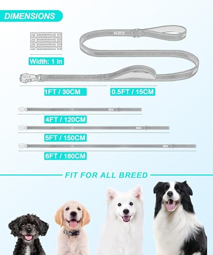GEIT Heavy Duty Dog Leash 5FT with Dual Padded Handles, Reflective Rope, 700lb Locking Frog Clip for Small to Large Dogs, Blue