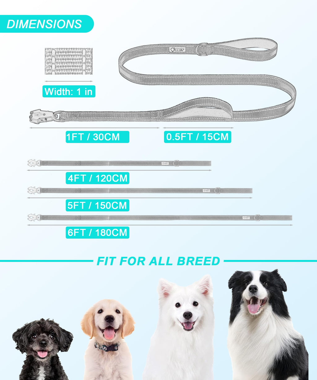 GEIT Heavy Duty Dog Leash 5FT with Dual Padded Handles, Reflective Rope, 700lb Locking Frog Clip for Small to Large Dogs, Blue