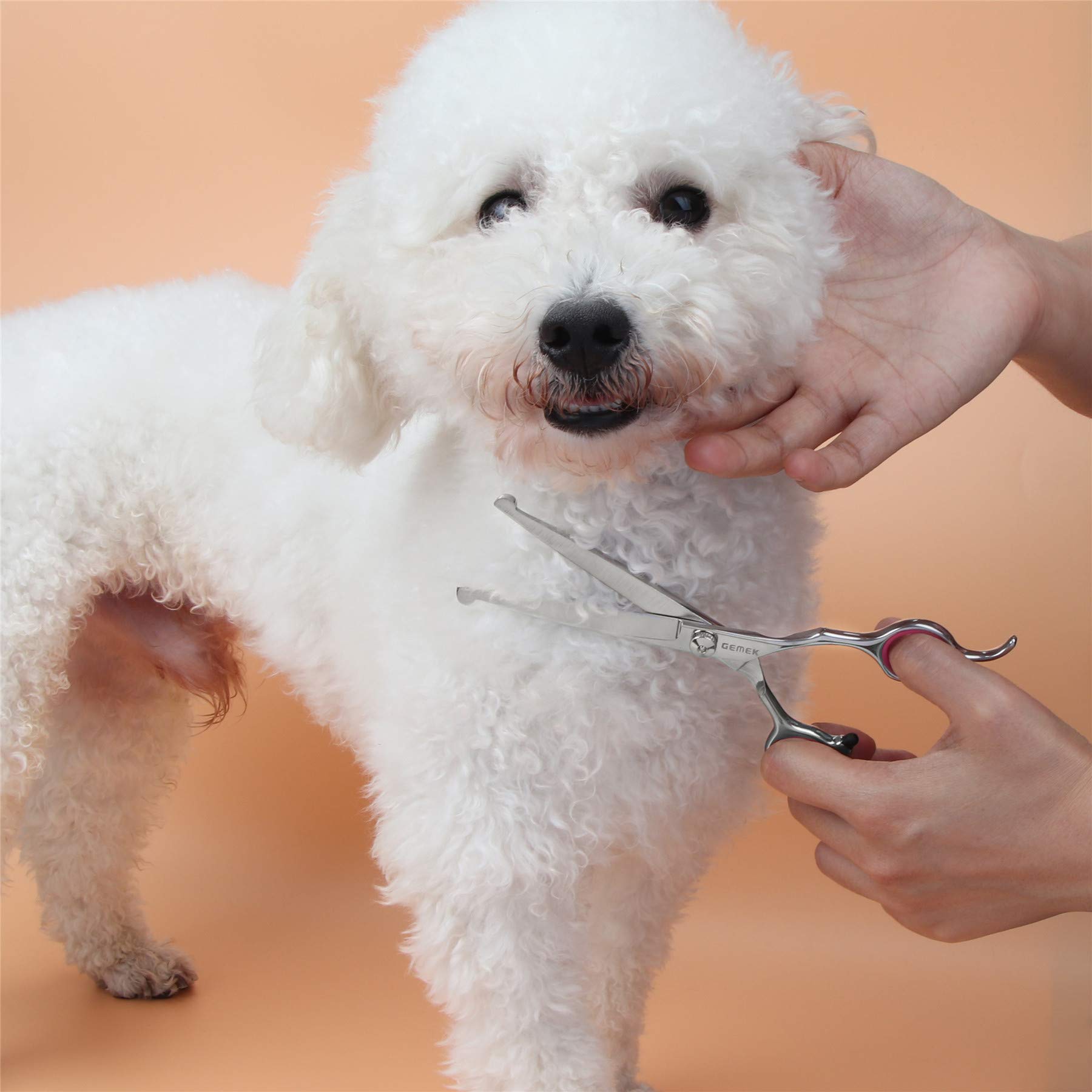 GEMEK 5-Piece Dog Grooming Scissors Set - 4CR Stainless Steel Round Tip Safety Shears Kit for Dogs Cats