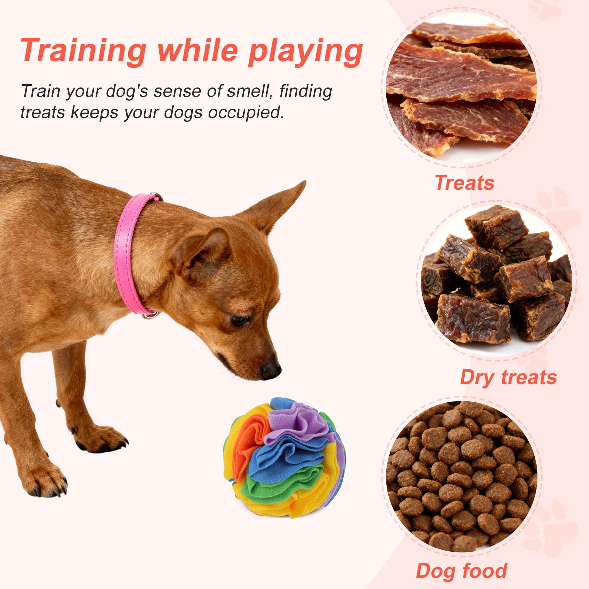 GLIDESMOOTH Snuffle Ball for Dogs – Interactive Treat Toy for Small Breeds & Puppies (Medium, Colorful)