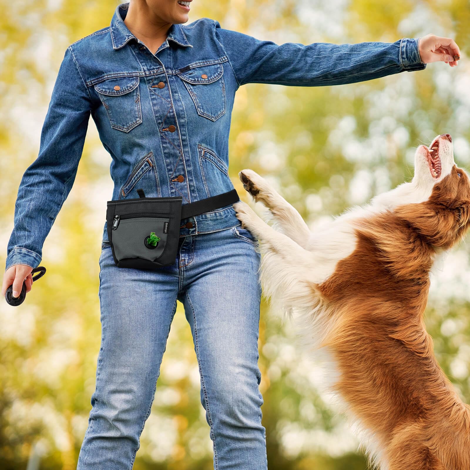 Gobeigo Dog Treat Pouch and Training Clicker – Two Magnetic Closures, 2-Cup Capacity, Poop Bag Dispenser, Adjustable Waist Belt & Metal Clip (Black/Gray)