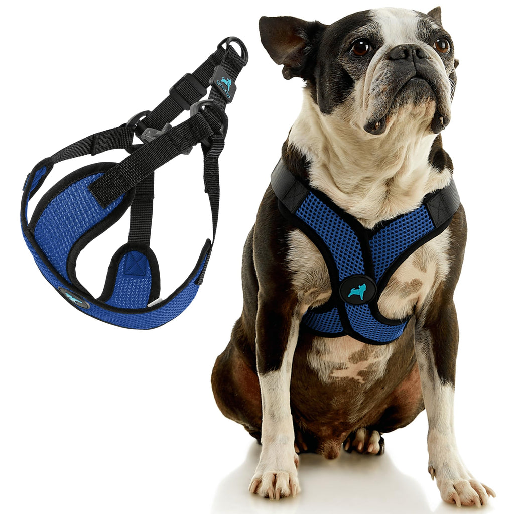Gooby Comfort X Step in Lite Dog Harness - Blue, Large - Choke-Free & Escape-Free Mesh Harness for Small Dogs